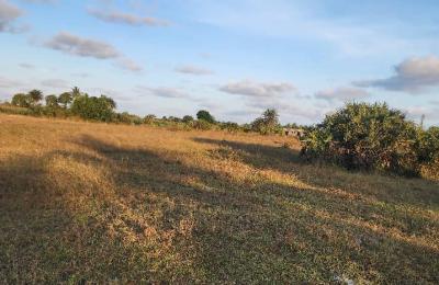 Land for sale