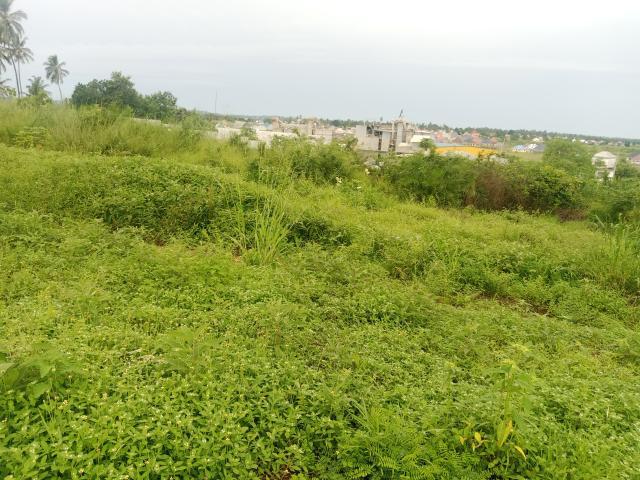 The Future of Land Ownership in Tanzania: What Every Investor Must Know