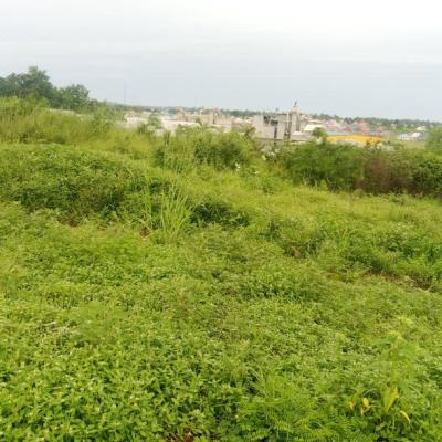 Houses, Apartments, Plots & Viwanja for Sale in Dar es Salaam