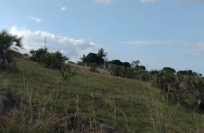 Plots for Sale – Viwanja Kigamboni Kisarawe 2