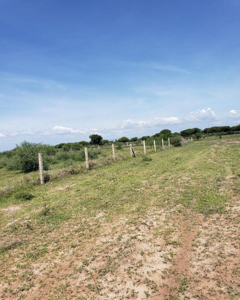 Land Management