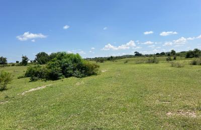 31 Acres Land for Sale in Mwanza Tanzania – Affordable Investment Opportunity